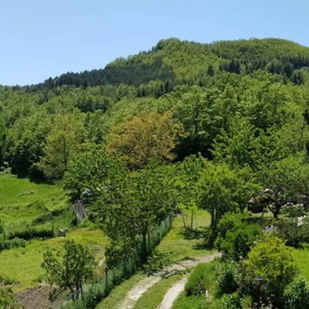 La Sala Vecchia - Lovely Tuscan House Badia Prataglia, Casentino Valley 度假居 *